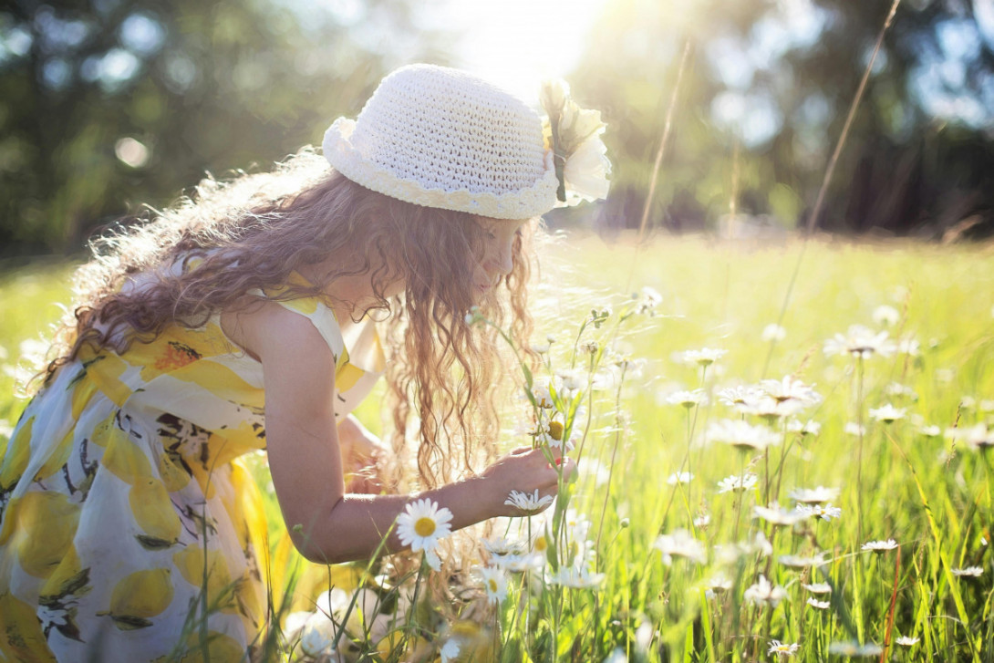 Ein Mädchen in Sommerkleid und mit Hut pflückt Margeriten auf einer Wiese.